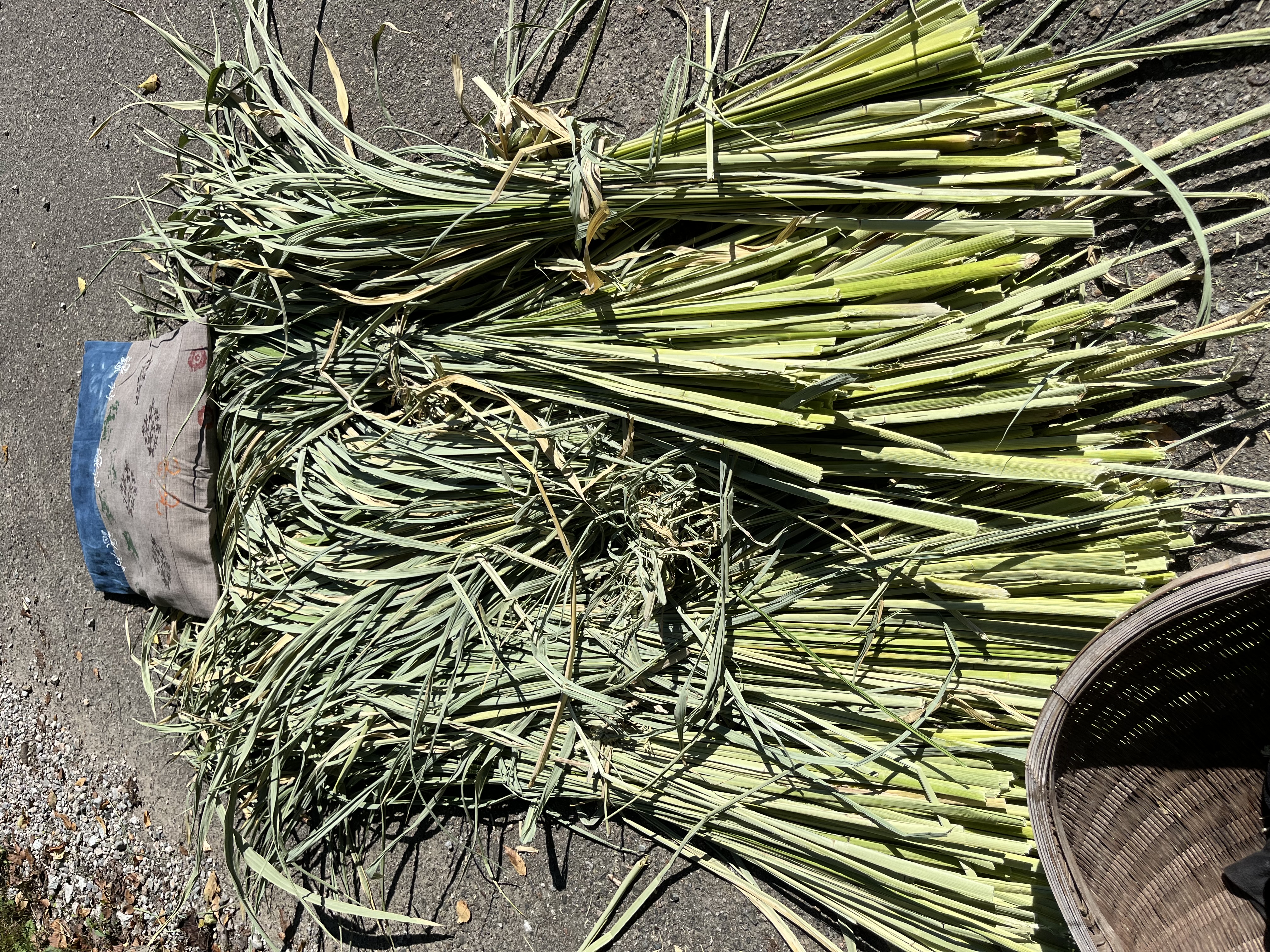 真菰の昼寝グッズ（枕・敷物・草履）