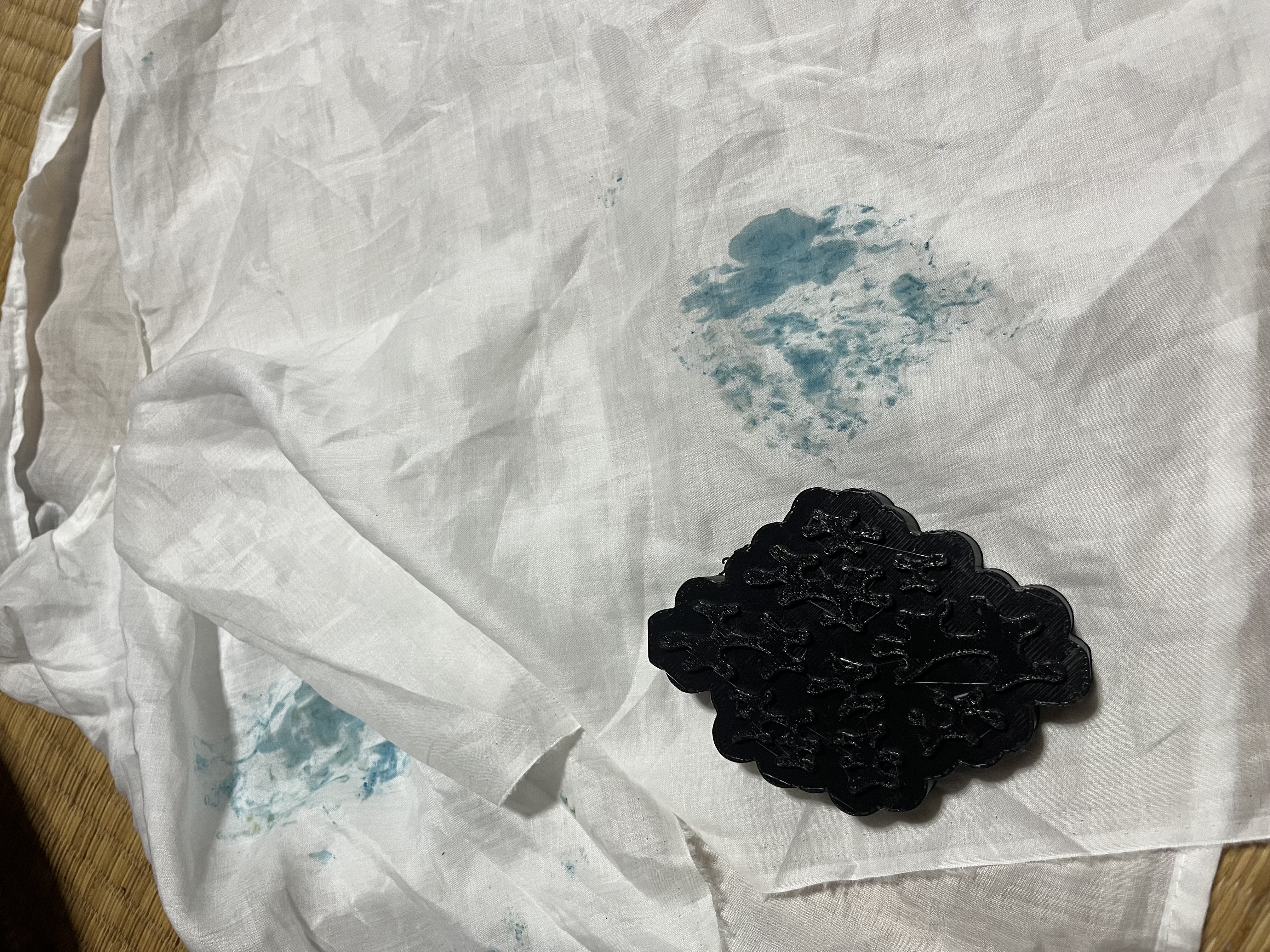 クサギでの青摺み試行（退色した失敗例）