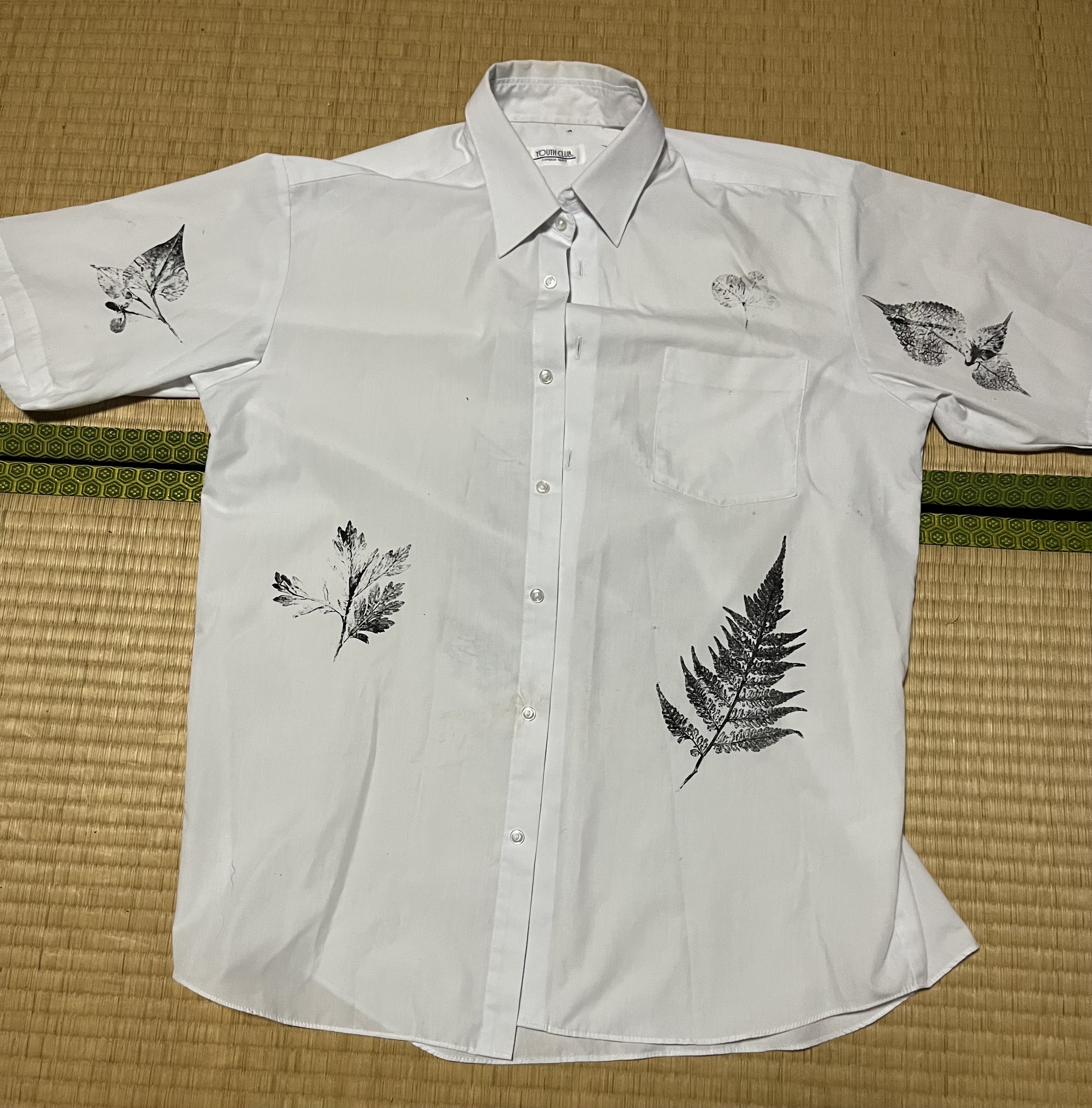 草花拓のアップ（ドクダミ・ヨモギ・クローバー・カラムシ・シダ）」